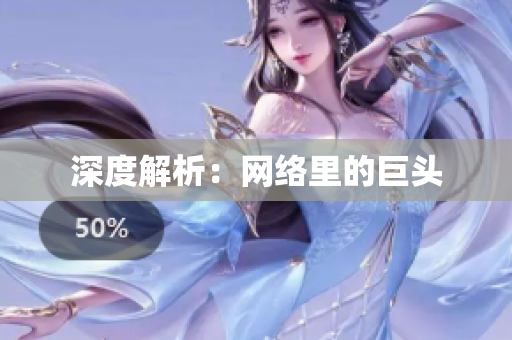 深度解析：网络里的巨头