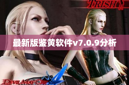 最新版鉴黄软件v7.0.9分析