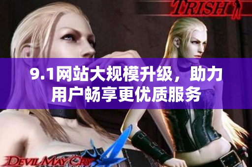 9.1网站大规模升级，助力用户畅享更优质服务