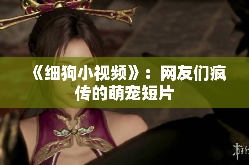 《细狗小视频》：网友们疯传的萌宠短片
