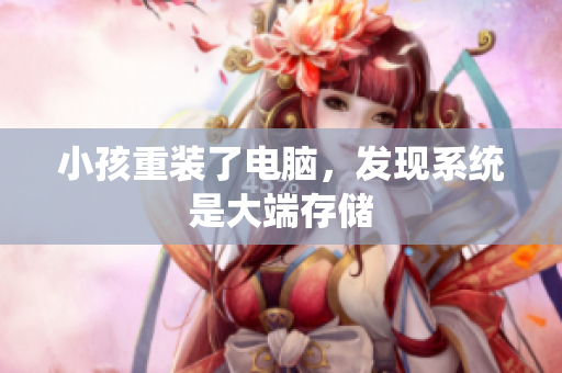 小孩重装了电脑，发现系统是大端存储