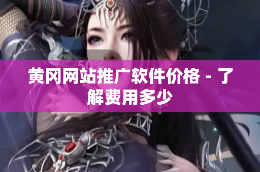 黄冈网站推广软件价格 - 了解费用多少