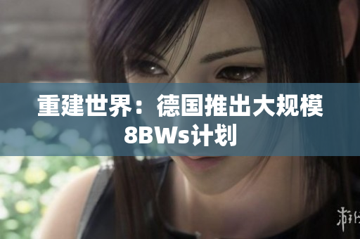 重建世界：德国推出大规模8BWs计划