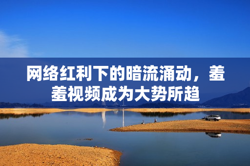 网络红利下的暗流涌动，羞羞视频成为大势所趋