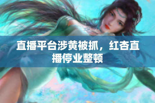 直播平台涉黄被抓，红杏直播停业整顿