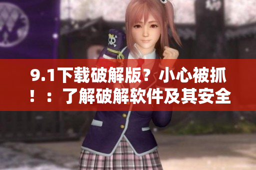 9.1下载破解版？小心被抓！：了解破解软件及其安全隐患