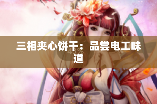 三相夹心饼干：品尝电工味道