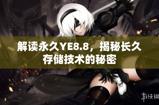解读永久YE8.8，揭秘长久存储技术的秘密
