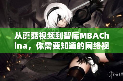从蘑菇视频到智库MBAChina，你需要知道的网络视频知识！