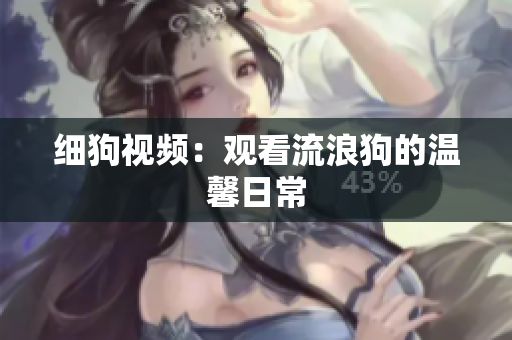 细狗视频：观看流浪狗的温馨日常