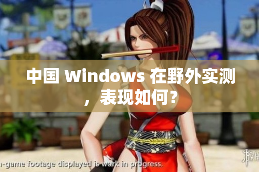 中国 Windows 在野外实测，表现如何？
