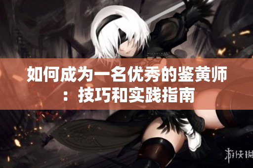 如何成为一名优秀的鉴黄师：技巧和实践指南