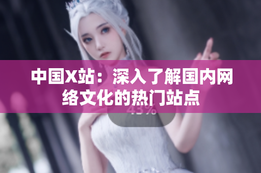 中国X站：深入了解国内网络文化的热门站点