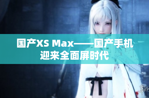 国产XS Max——国产手机迎来全面屏时代