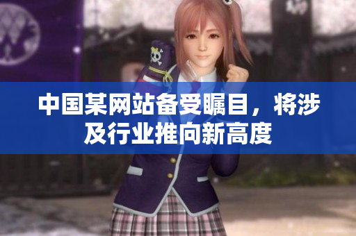 中国某网站备受瞩目，将涉及行业推向新高度