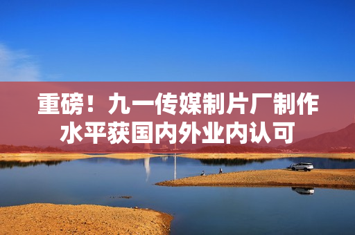 重磅！九一传媒制片厂制作水平获国内外业内认可