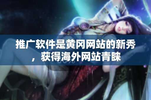 推广软件是黄冈网站的新秀，获得海外网站青睐