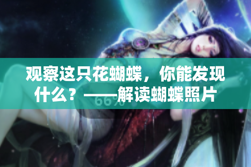 观察这只花蝴蝶，你能发现什么？——解读蝴蝶照片