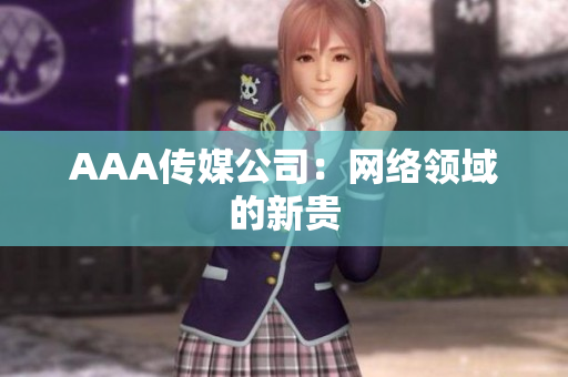 AAA传媒公司：网络领域的新贵