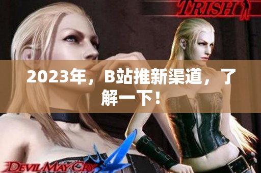 2023年，B站推新渠道，了解一下！