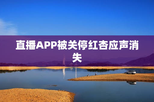 直播APP被关停红杏应声消失
