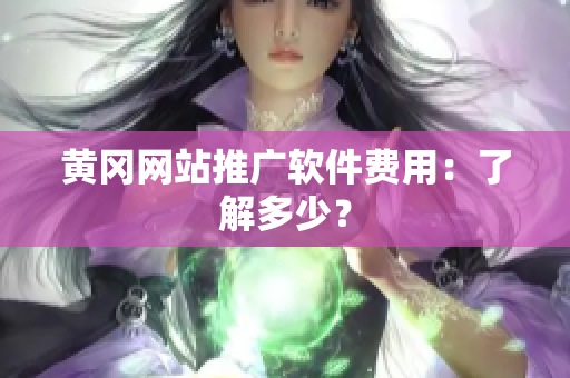 黄冈网站推广软件费用：了解多少？