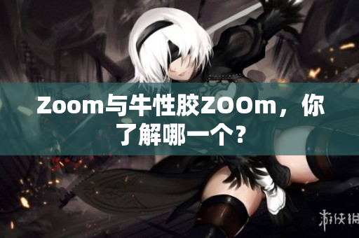 Zoom与牛性胶ZOOm，你了解哪一个？