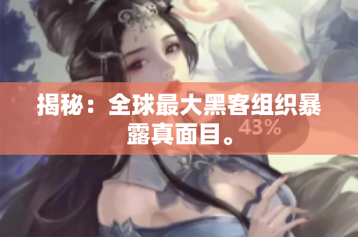 揭秘：全球最大黑客组织暴露真面目。