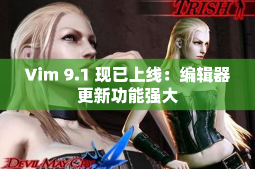 Vim 9.1 现已上线：编辑器更新功能强大