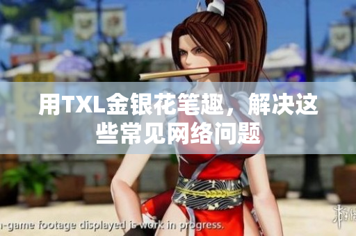 用TXL金银花笔趣，解决这些常见网络问题