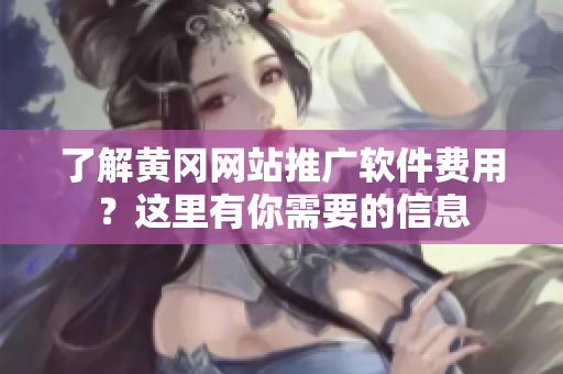 了解黄冈网站推广软件费用？这里有你需要的信息