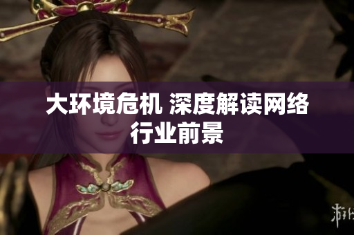 大环境危机 深度解读网络行业前景