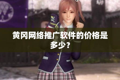 黄冈网络推广软件的价格是多少？