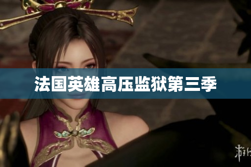 法国英雄高压监狱第三季