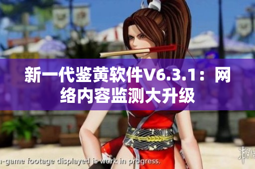 新一代鉴黄软件V6.3.1：网络内容监测大升级