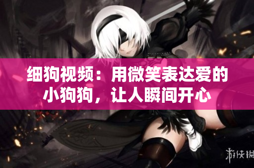 细狗视频：用微笑表达爱的小狗狗，让人瞬间开心