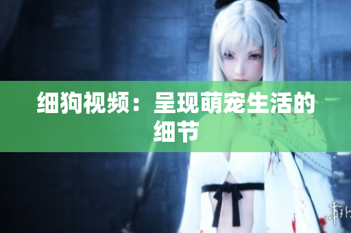 细狗视频：呈现萌宠生活的细节