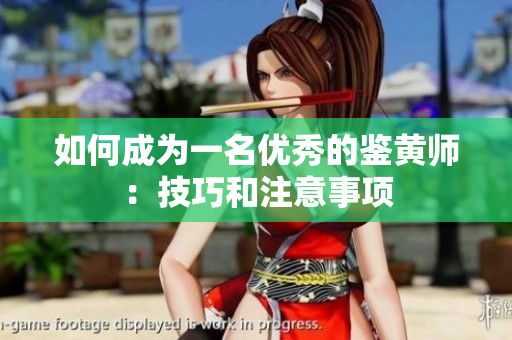 如何成为一名优秀的鉴黄师：技巧和注意事项