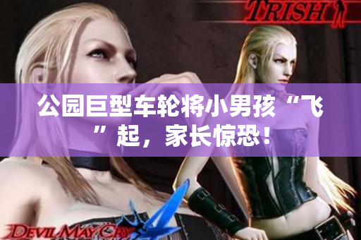 公园巨型车轮将小男孩“飞”起，家长惊恐！