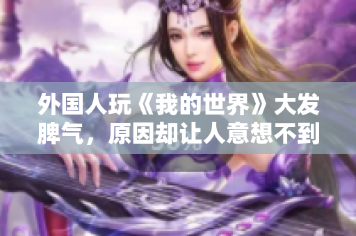 外国人玩《我的世界》大发脾气，原因却让人意想不到