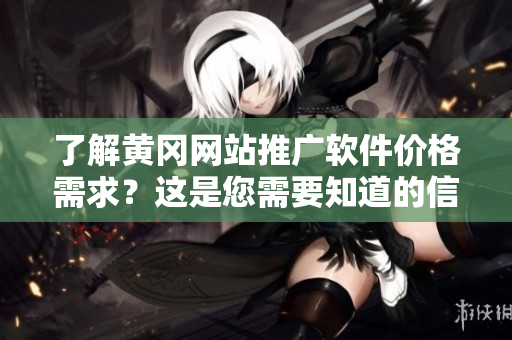 了解黄冈网站推广软件价格需求？这是您需要知道的信息！
