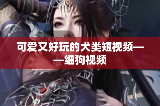 可爱又好玩的犬类短视频——细狗视频