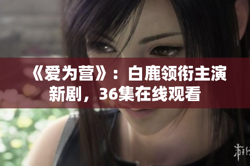《爱为营》：白鹿领衔主演新剧，36集在线观看