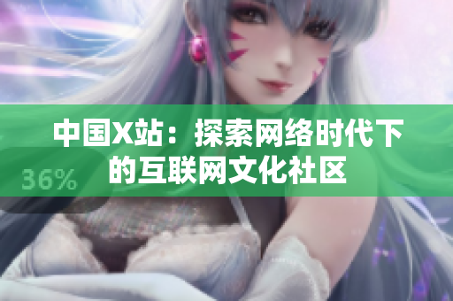 中国X站：探索网络时代下的互联网文化社区