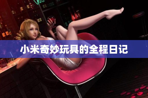 小米奇妙玩具的全程日记