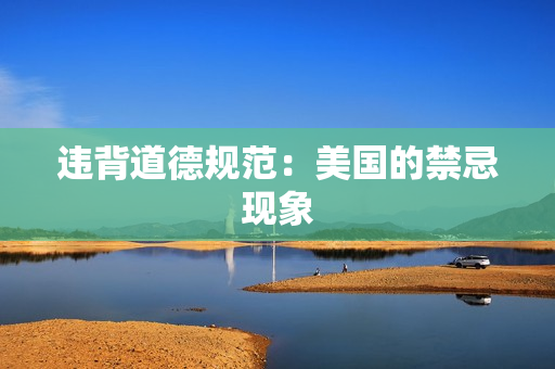 违背道德规范：美国的禁忌现象
