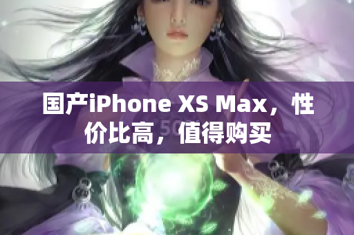 国产iPhone XS Max，性价比高，值得购买