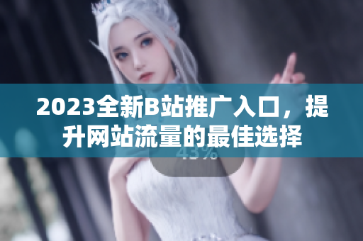 2023全新B站推广入口，提升网站流量的最佳选择
