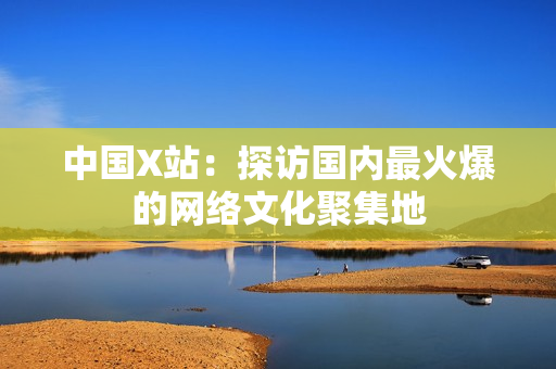 中国X站：探访国内最火爆的网络文化聚集地