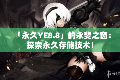 「永久YE8.8」的永斐之窗：探索永久存储技术！